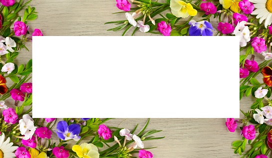Pattern of phlox and violet flowers. Beautiful frame with free space for text. Wide photo.
