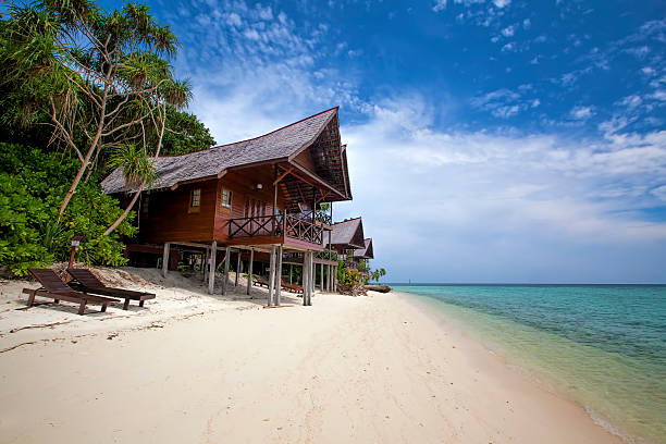 ilha lankayan - sipadan island imagens e fotografias de stock