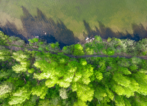Aerial view of lake or river green shore with forest. Summer season. Recreation concept. Sky reflection. Ecology in Europe. Aerial view