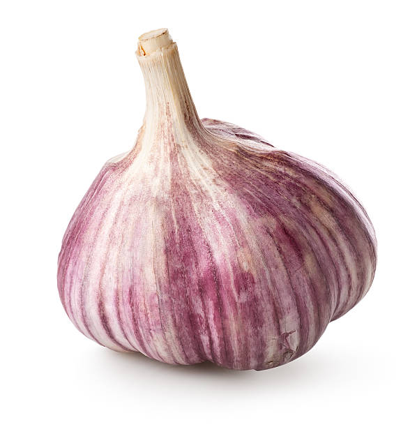 Purple garlic Purple garlic isolated on a white background acrid taste stock pictures, royalty-free photos & images