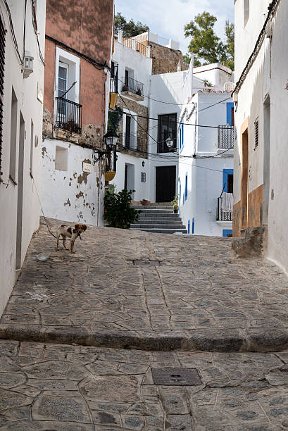 istock Typical Mediterranean alley between old houses 184796326