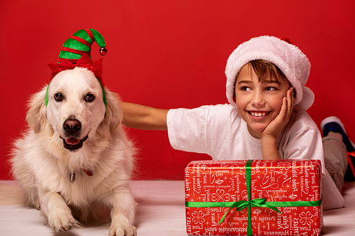 Happy child and his golden retriever dog celebrating Christmas eve. Kid and pet wearing Santa Claus hat. Holidays happy time.