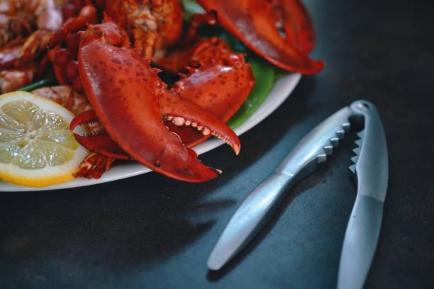 Lobster on a white background