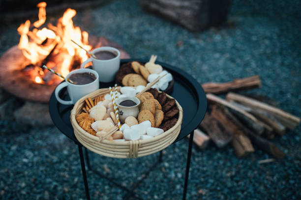 istock Marshmallows for roasting on a tray with campfire on the background. 1847987555