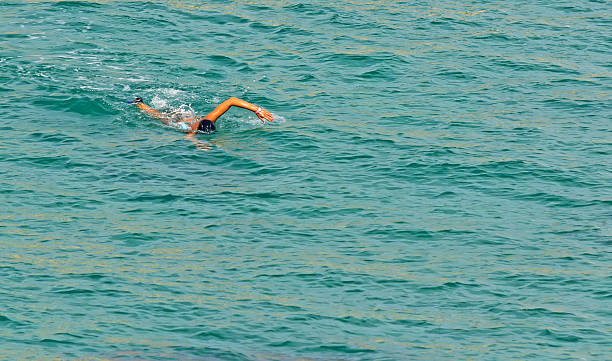 istock swimming in the sea 184798814