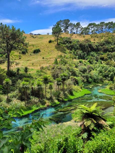 istock Blue Spring, Te Waiho, New Zealand 1847990668