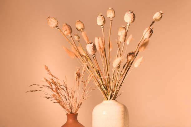 istock Beautiful arrahgement of dried plants 1847994308