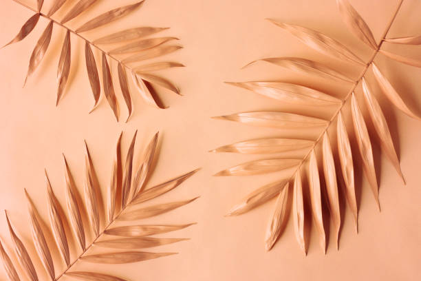 istock Arrangement of palm leaves 1847994838