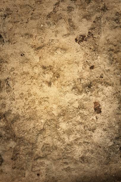 istock Gray and brown backgroun 184799743
