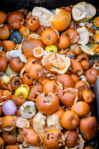 Pile of many multi colored pumpkins and gourds of different shapes and colors. Different kinds Colorful pumpkins decoration