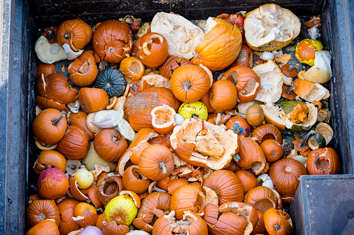 the aftermath of an exhilarating Pumpkin Drop event as vibrant remnants create a visually stunning, smashed pumpkin palette within the recycling bin as they await transformation into valuable compost and nutrient-rich animal feed in this scene of sustainable organic waste collection