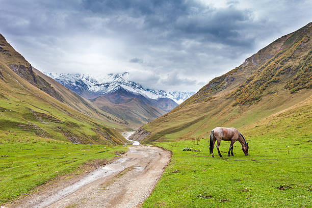 istock Caucasus landscape in Georgia 184806073