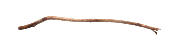 istock One old wooden stick isolated on white 1848074809