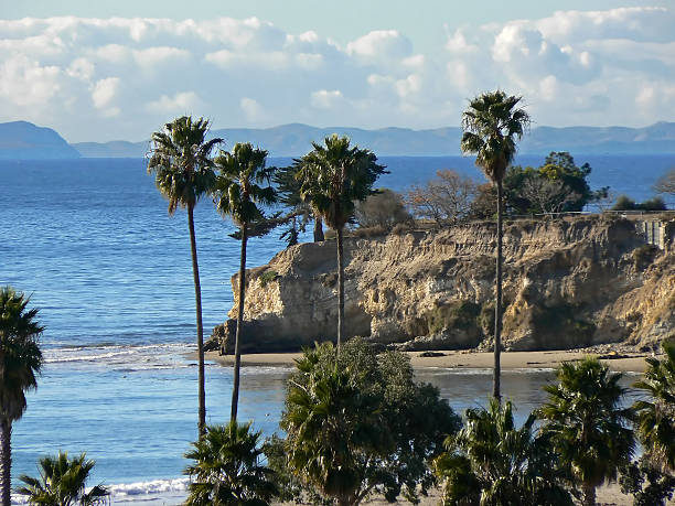Photo of California coast line