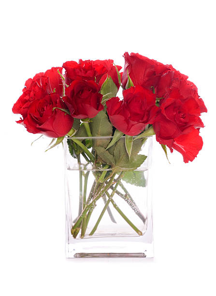 istock Bunch of red roses 184811109