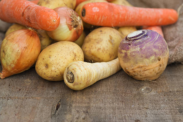 Winter seasonal vegetables including potatoes parsnips swede and carrots stock photo