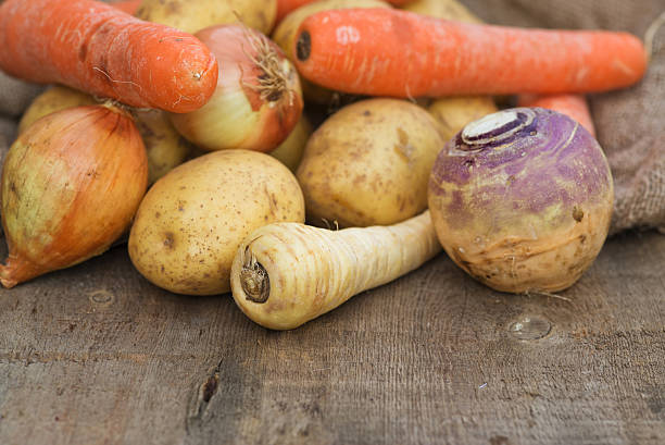 inverno seasonal produtos hortícolas, incluindo batatas pastinagas sueco e cenouras - parsnip vegetable food winter imagens e fotografias de stock