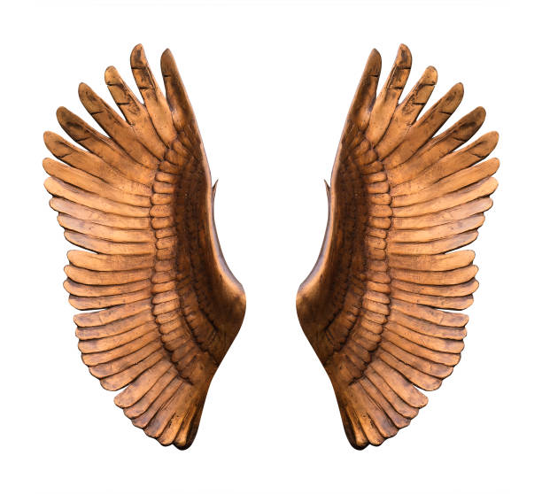 White Angel Wings isolated on white background. 3D render