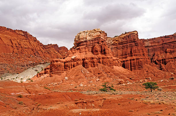 istock Red Rock Columns in the Desert 184812423
