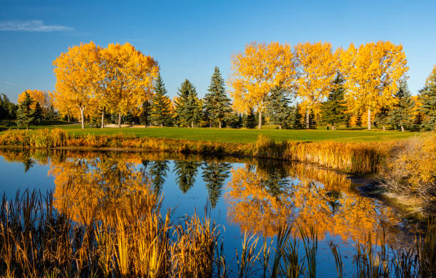 istock Fall colours on the edge of town. Calgary, Alberta, Canada 1848128093
