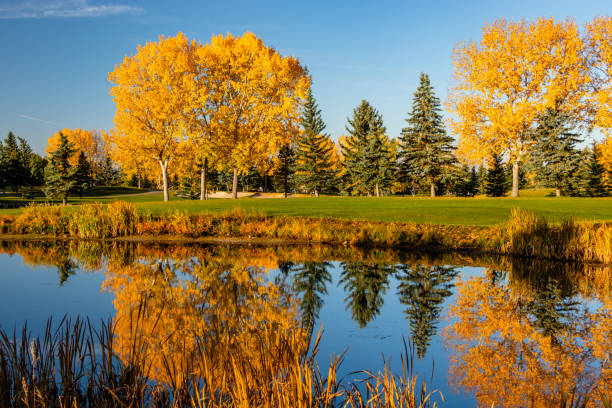 istock Fall colours on the edge of town. Calgary, Alberta, Canada 1848128095