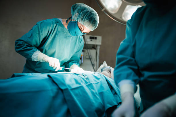 Female surgeon and her team in work stock photo