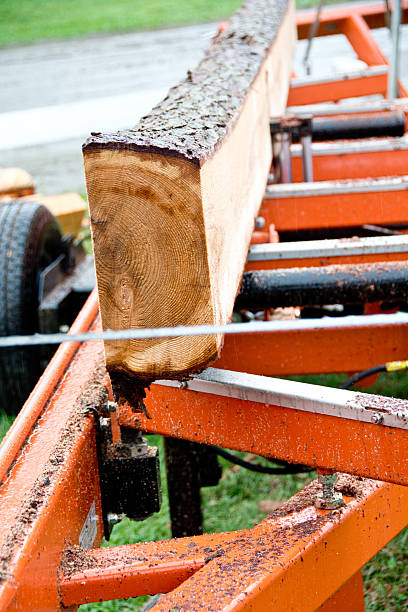 istock Spruce log on a portable saw mill 184815414