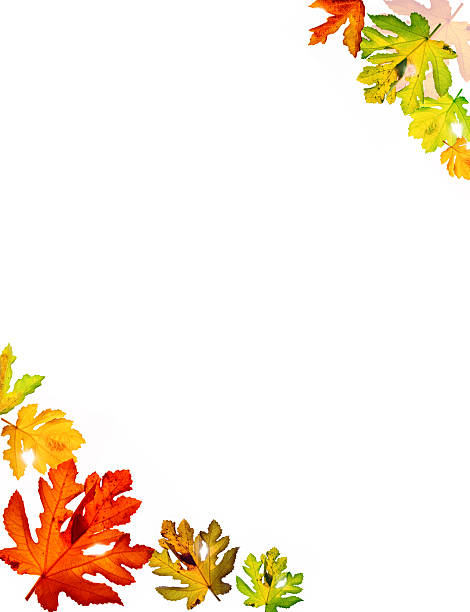 istock Autumn leaves isolated on vhite 184815418