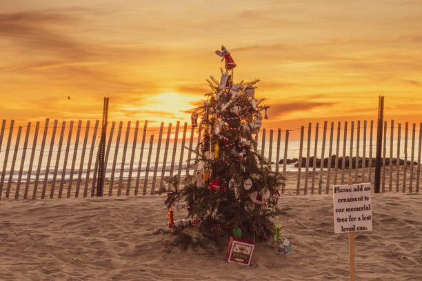 istock Christmas Tree on the Beach at Sunrise 1848168169