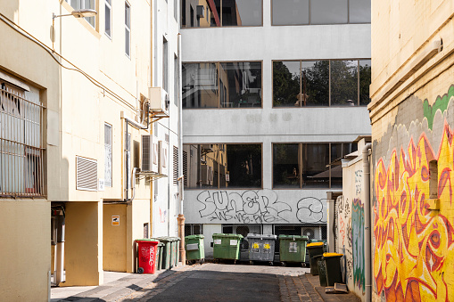 City lane showcasing graffiti and bins, reflecting the diverse urban landscape.