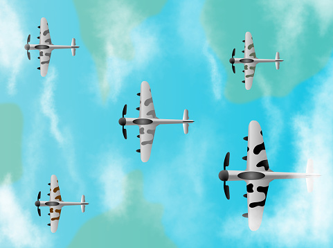 Sky Squadron: The Formation of Vintage Planes