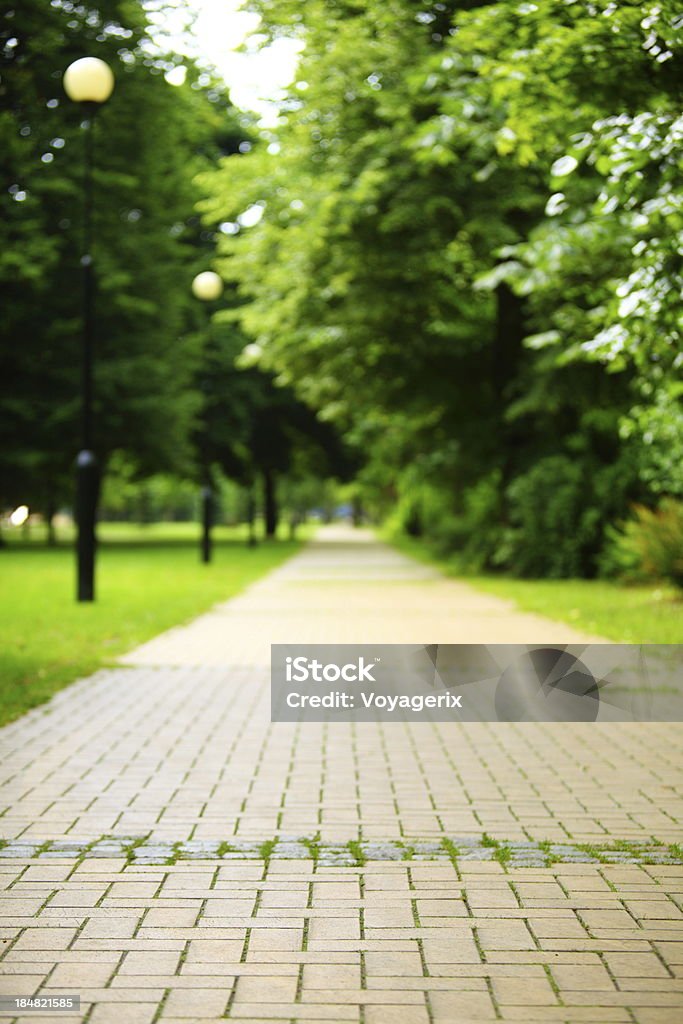 O caminho de pedras do parque. - Foto de stock de Beco royalty-free