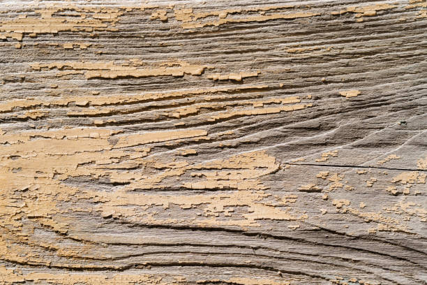 Detailed texture of weathered wood, showcasing the layered patterns and the natural aging process of timber