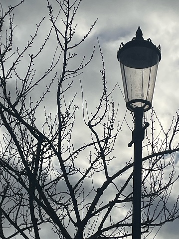 An atmospheric shot of an old fashioned London street lamp with the bare boughs of trees against a wintry sky.