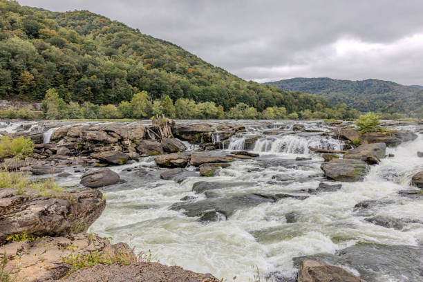 istock a river flowing over a lush green hillside side in a mountain 1848275566