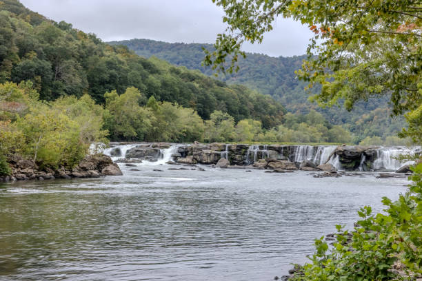 istock a river with a waterfall in the middle surrounded by forest 1848275579