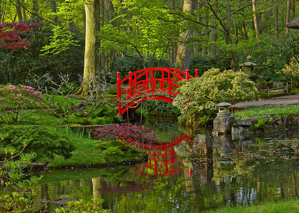 istock Japanese garden with bridge 184831697