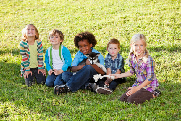 istock Multiracial children sitting on grass with husky puppy 184832065
