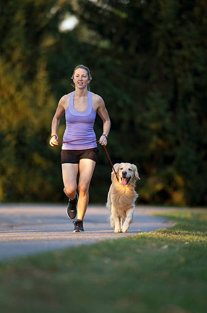 istock Jogger and Golden Retriever 184832082