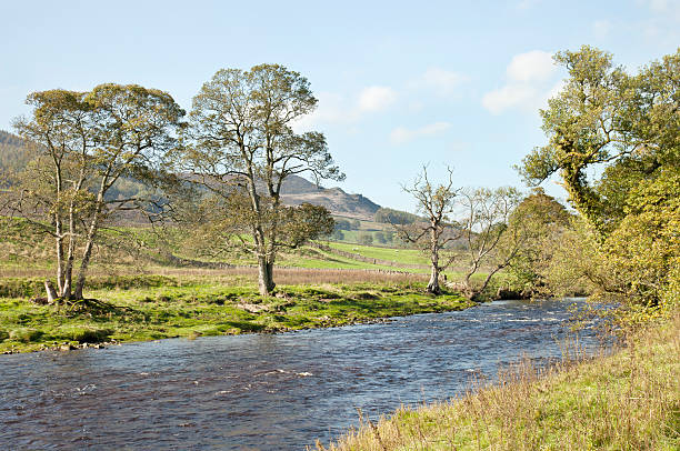 istock River Wharfe in the Yorkshire Dales 184832181