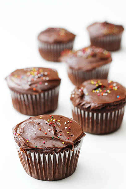 Chocolate Cupcakes stock photo