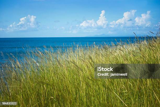 Foto de Paisagem Costeira Com Grama Alta E O Horizonte e mais fotos de stock de Folha lanceolada de relva - Folha lanceolada de relva, Grama, Linha do Horizonte sobre Água