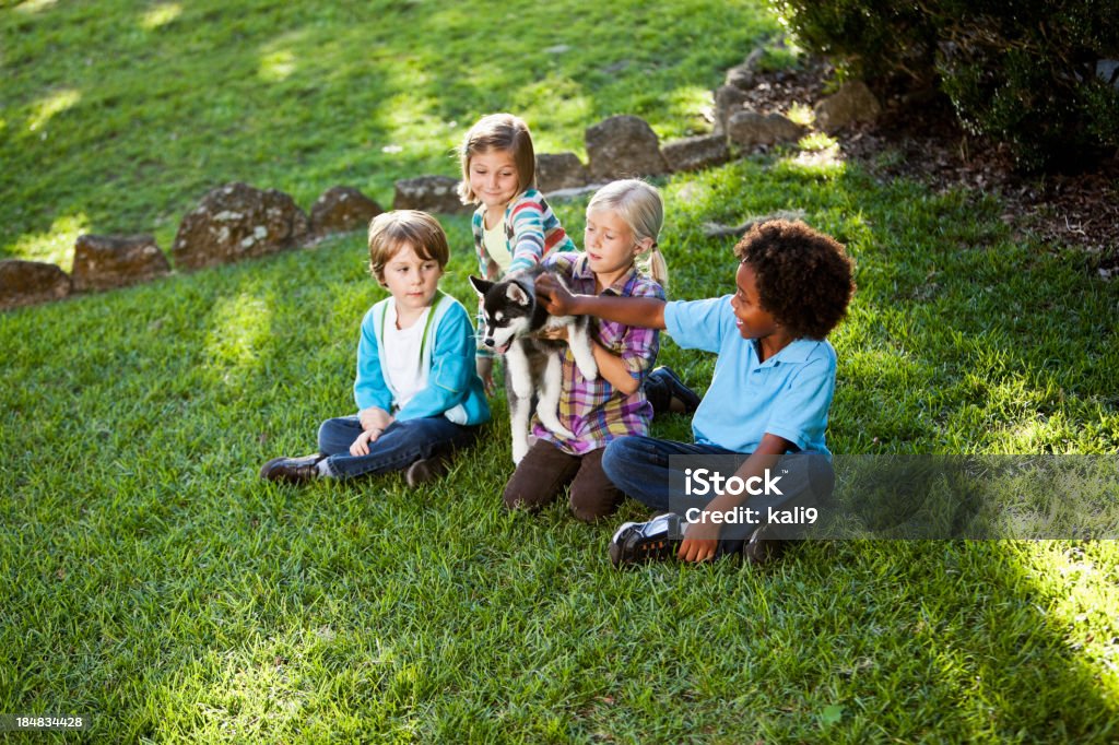 Multirracial crianças segurando husky cachorrinho - Royalty-free Criança Foto de stock