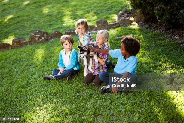 Multirracial Crianças Segurando Husky Cachorrinho - Fotografias de stock e mais imagens de Criança - Criança, Acariciar, Cachorrinho
