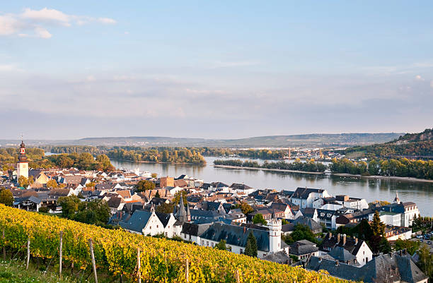 istock Rudesheim in Germany 184834846