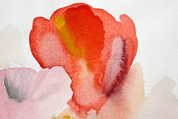 istock Tulips, watercolor painting. 184835446