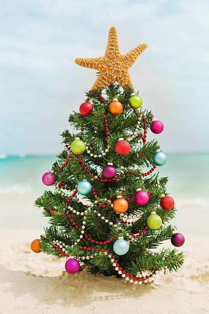 istock Christmas Tree on Tropical Caribbean White Sand Beach 184835528