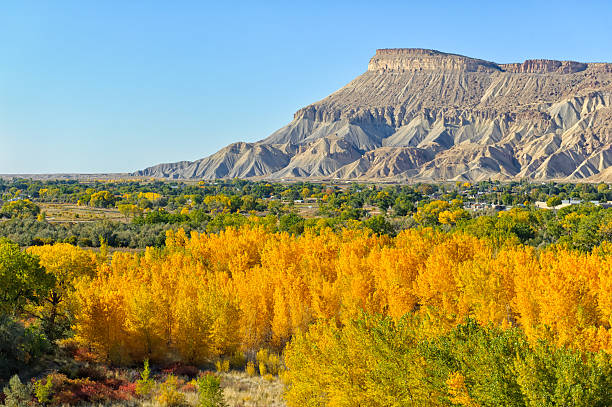 Grand Junction コロラドの秋の色 ストックフォト