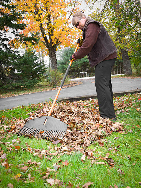 istock Raking Autumn Leaves. 184835600