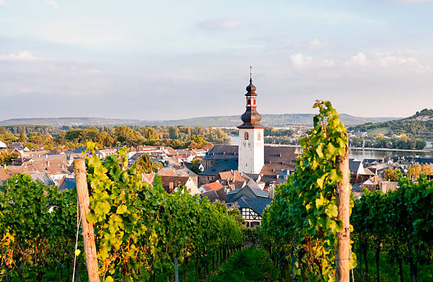 istock Rudesheim in Germany 184835966